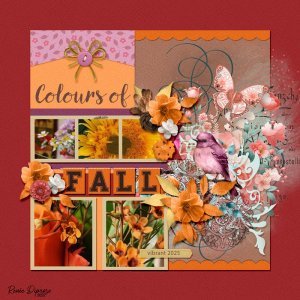 Colours of Fall