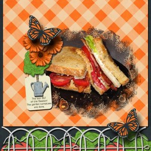 Our Last BLT