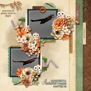 birds-in-flight.jpg