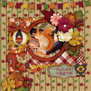 Autumn-squirrel.jpg