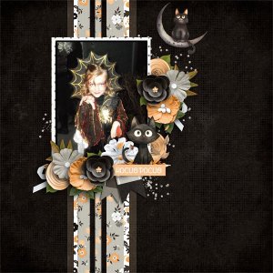 Witch and Her Cat 600.jpg