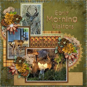 Early Morning Visitors