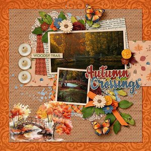 Autumn-Crossings-web.jpg