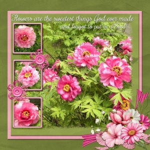 Flowers are the sweetest things