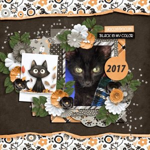 Witch-and-Cat-and-Aprilisa-600x600.jpg