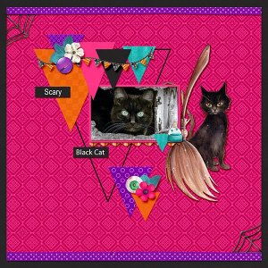 Scary black cat