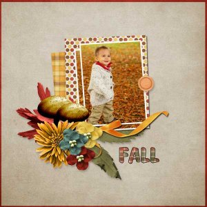 focus-on-fall-lisa-minor.jpg