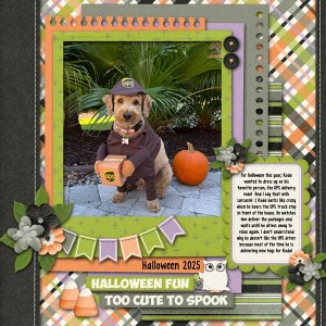 2025 October Memory Mix Up Challenge