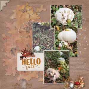 Autumn Puffballs 10-5-25