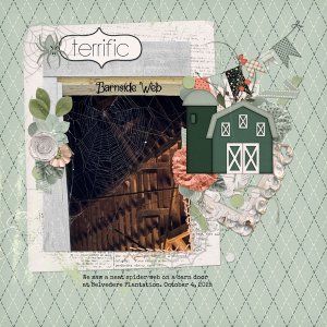 Barnside Web