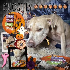HoundsofHellHalloween2025-004-Page-5.jpg