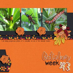 Project 52 - 2025 - Week 43