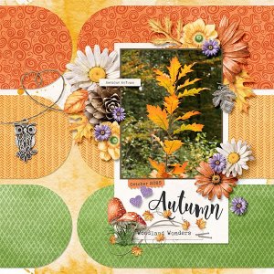 Woodland wonders