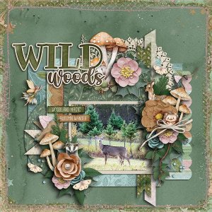 Wild Woods
