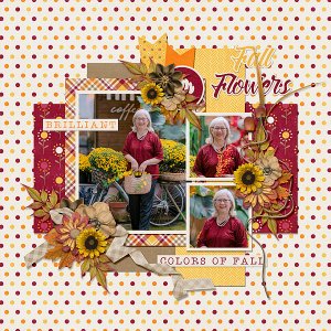 Fall Flowers