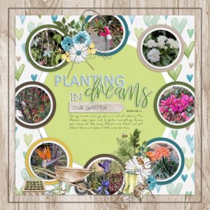 2025-09-11_PlantingDreams