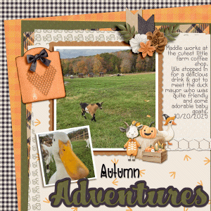 Autumn-Adventures.gif