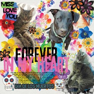 DDLM-Pet-Version-webv.jpg