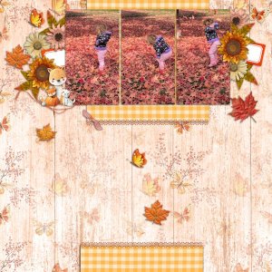 Fall Day