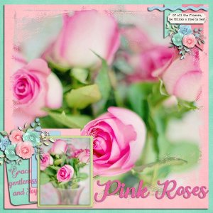 Lovely Pink Roses