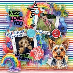 GS_Roxie&Biscuit_RainbowBridge2025.jpg