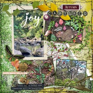 Nature-October-web.jpg
