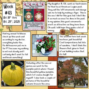 2025 Project 365 Challenge - Week 43.jpg