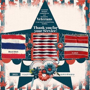 Veteran-donations-SCD-DoTheSplits-TP4-copy.jpg