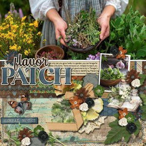 DLPatt_FlavorPatch_web.jpg