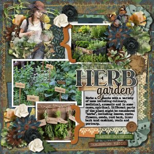 DLPatt_HerbGarden_web.jpg