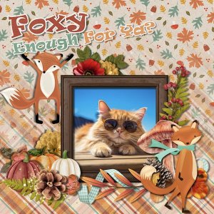 DLPatt_FoxyEnoughForYa_web.jpg