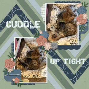 Cuddle Up Tight