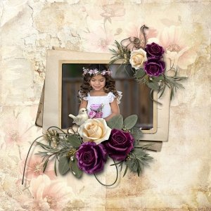 Velvet Memories
