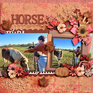 Importance of Horse