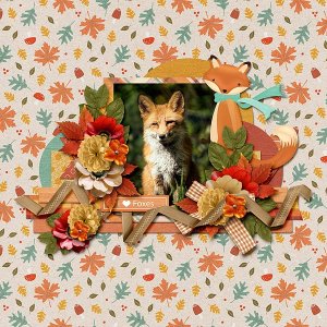 clever mr fox