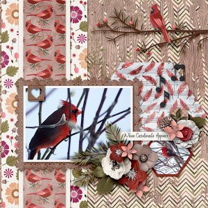 Winter Cardinal