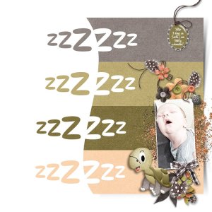Sleep Like A Turtle.jpg