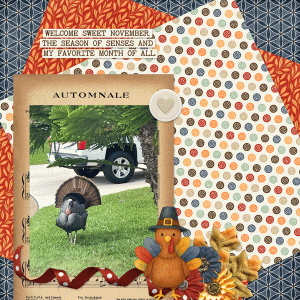 TomTurkey.gif