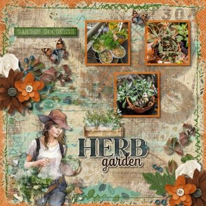 Lots of Herbs