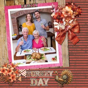 Family-Friends-Feathers-The.jpg