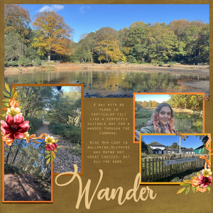 Wander