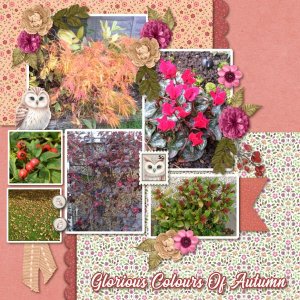 Glorious Colours Of Autumn