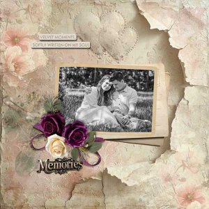 velvet-memories-palvinka.jpg