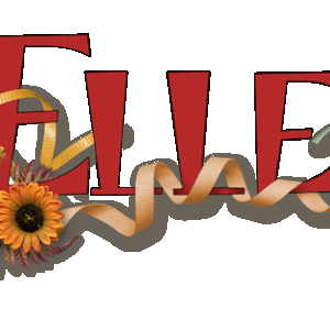 Signature Challenge 2025 11.png