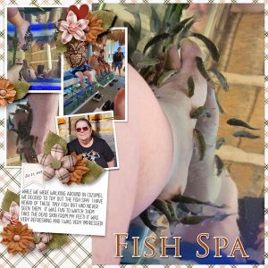 Fish Spa