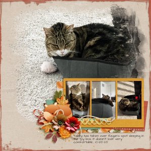 Tabby box