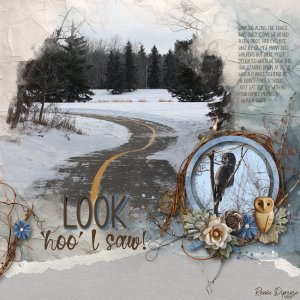 Look 'hoo' I Saw