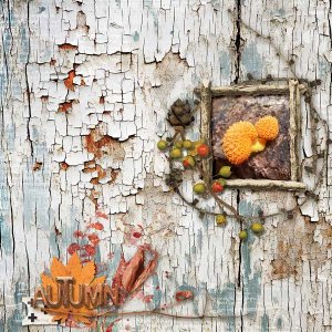 Autumn-webv.jpg