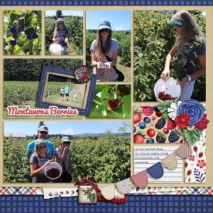 2022-07-21 Montavons Berries 1