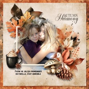 Autumn Harmony